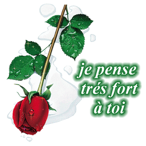 Gif animé je pense à toi rose rouge